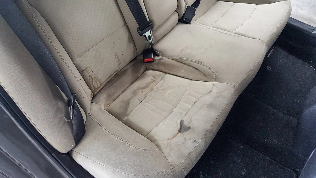 What Actually Happens to Your Car Seats When They're Left Unprotected
