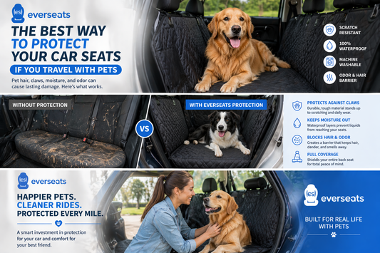 The Best Way to Protect Your Car Seats If You Travel With Pets