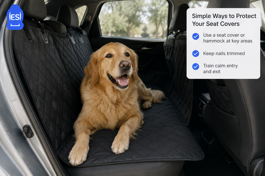 How to Protect Seat Covers From Dog Claws and Cat Scratches Without Switching Materials